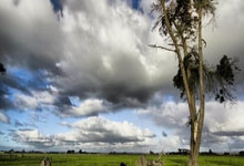 巴黎迎战里尔，双方全力争胜