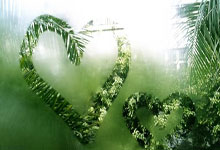 法国联赛斯特拉斯堡主场胜出守住希望