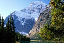 举重冠军再次超群夺冠，喜获金牌